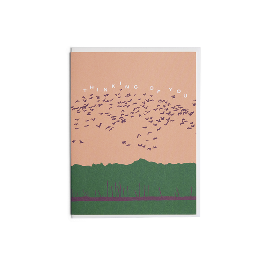 Birds in Flight Card