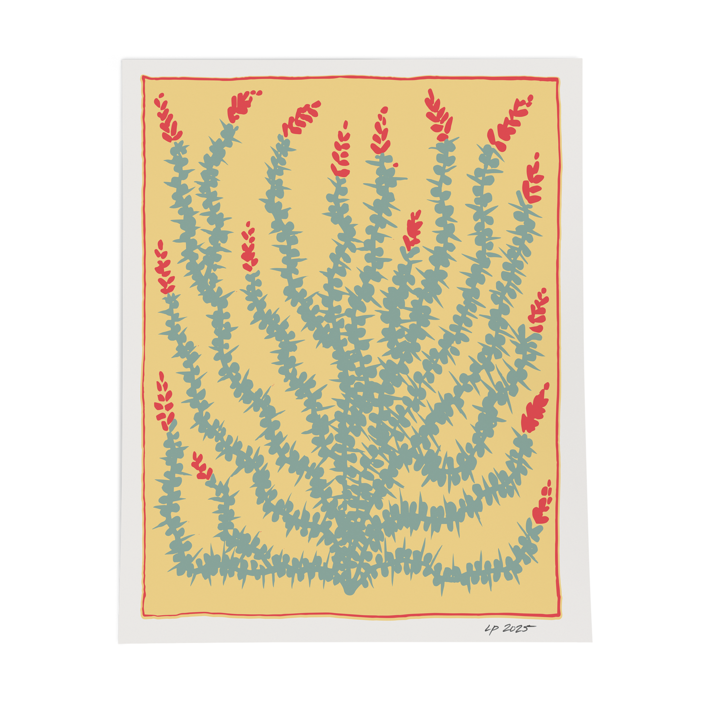 Ocotillo Print