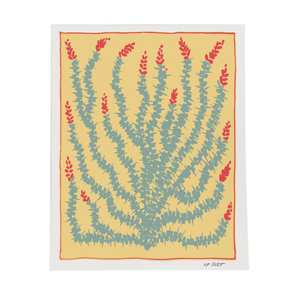 Ocotillo Print