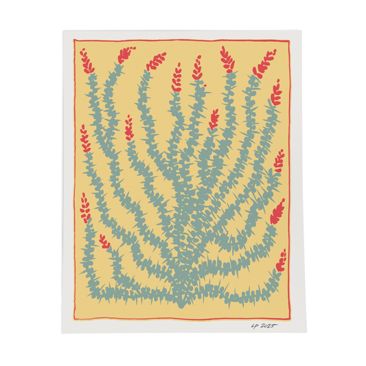 Ocotillo Print