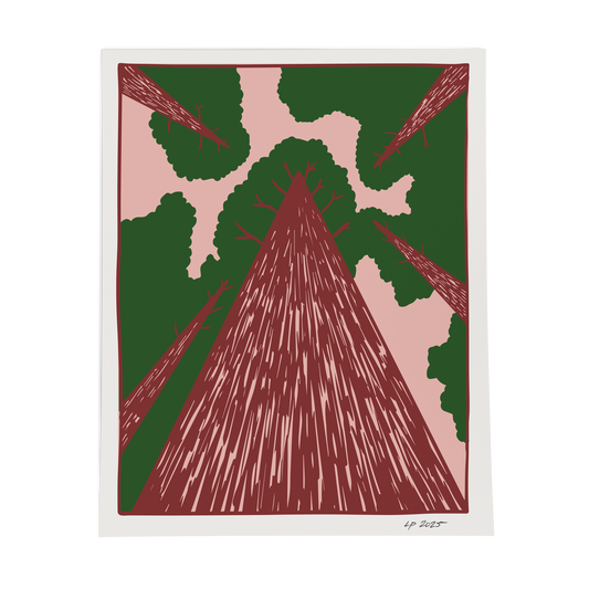 Redwoods Print