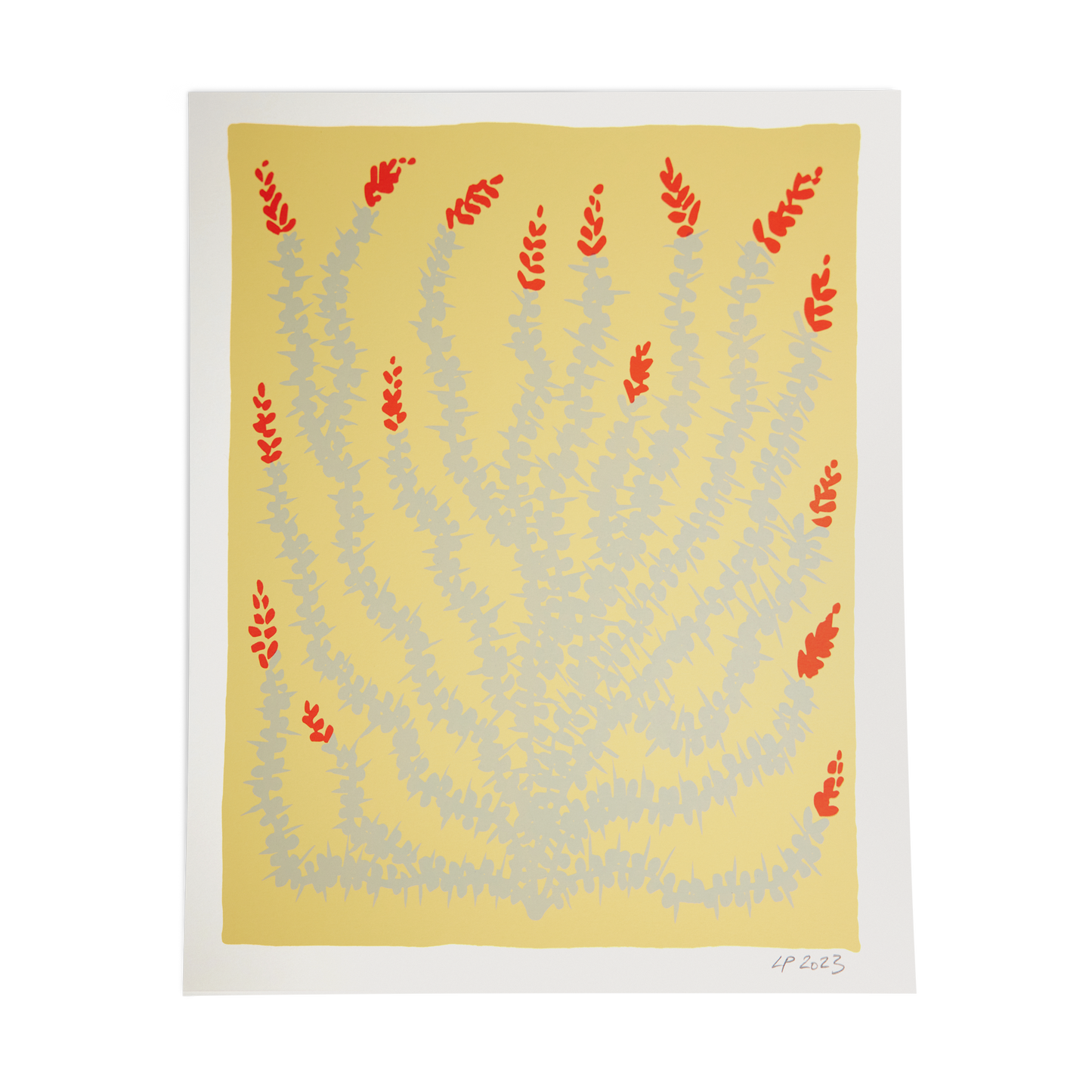 Ocotillo Print