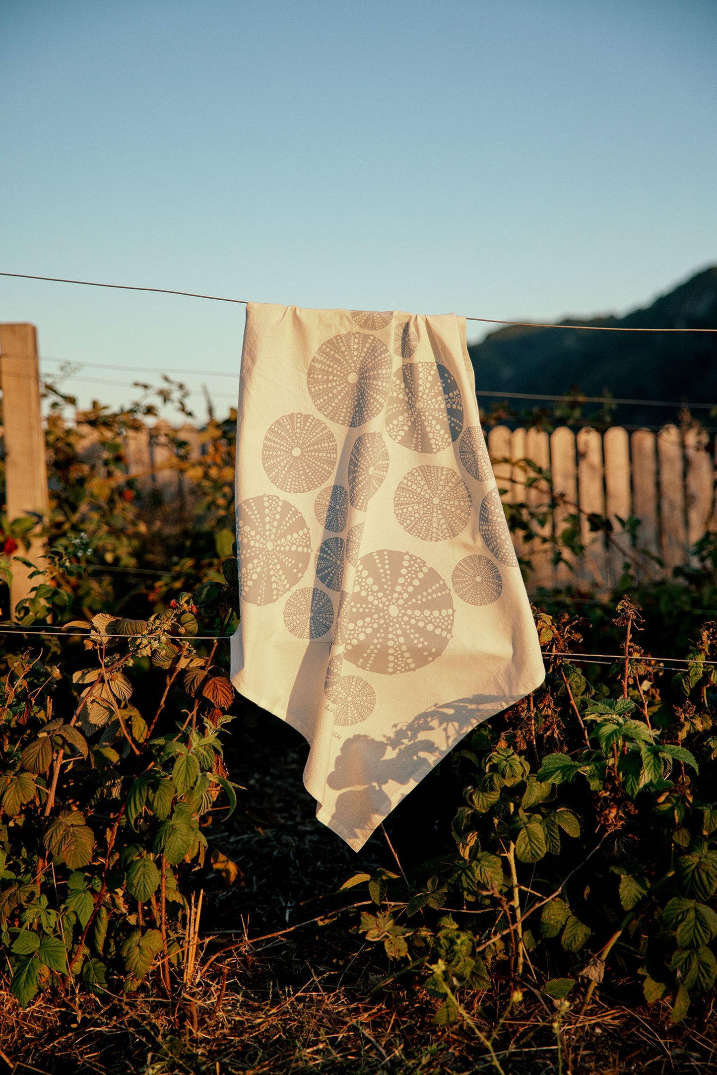 Seashell Tea Towel: Sea Urchin