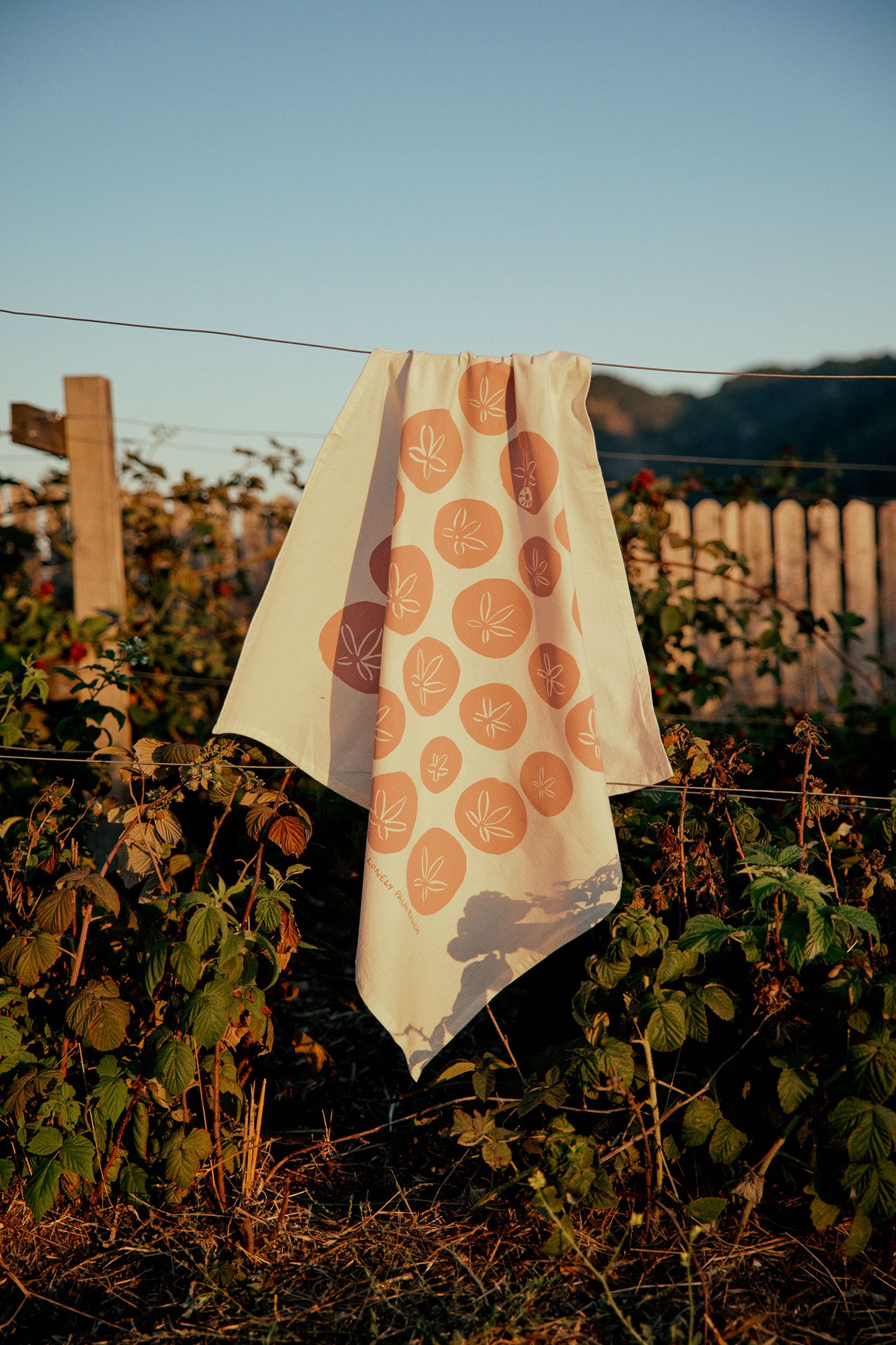 Seashell Tea Towel: Sand Dollar