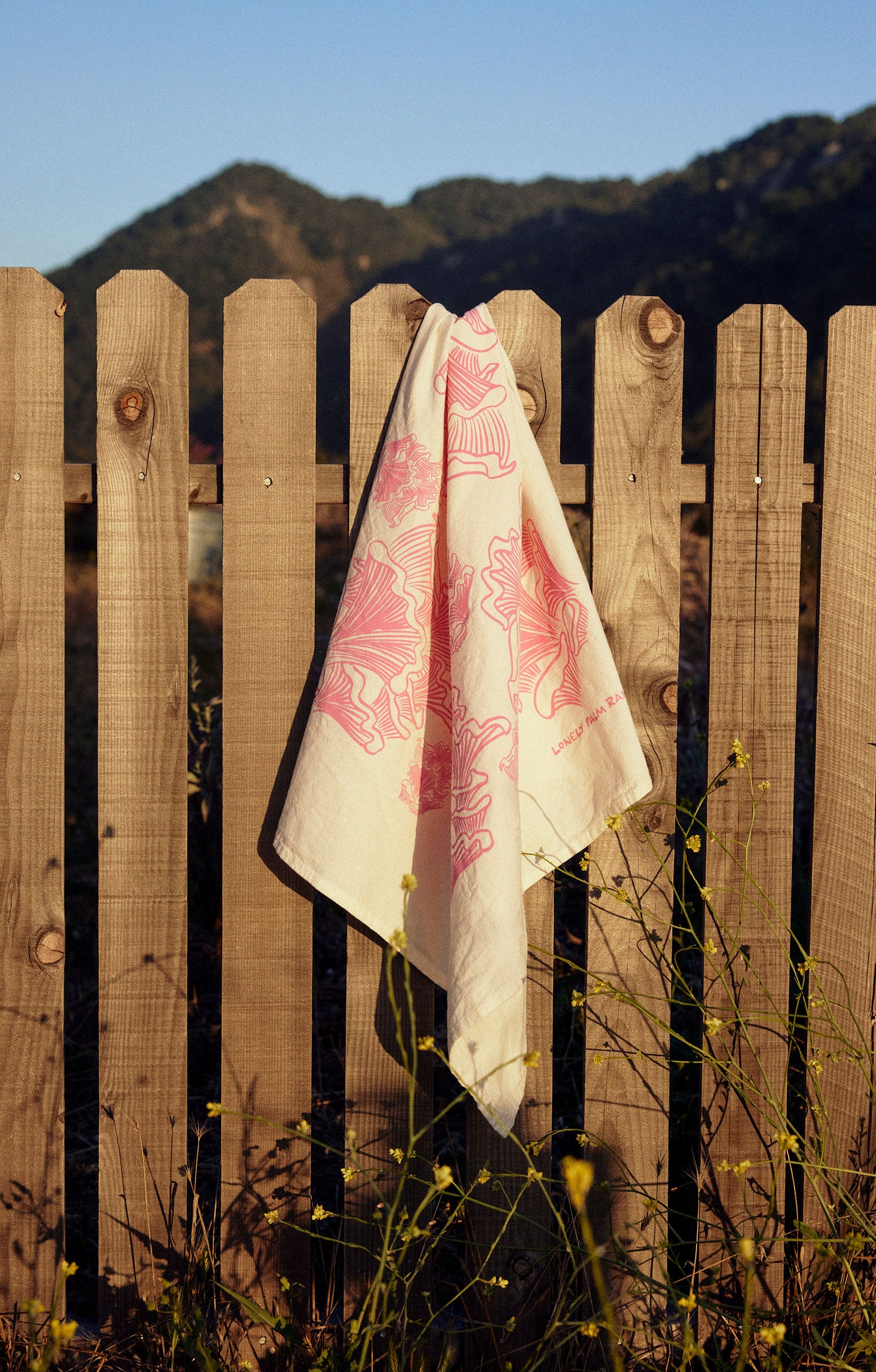 Mushroom Tea Towel: Chanterelle – Lonely Palm Ranch Arroyo Grande